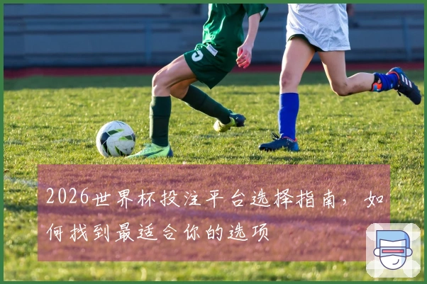2026世界杯投注平台选择指南，如何找到最适合你的选项