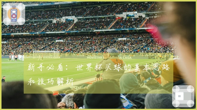 新手必看：世界杯买球的基本思路和技巧解析