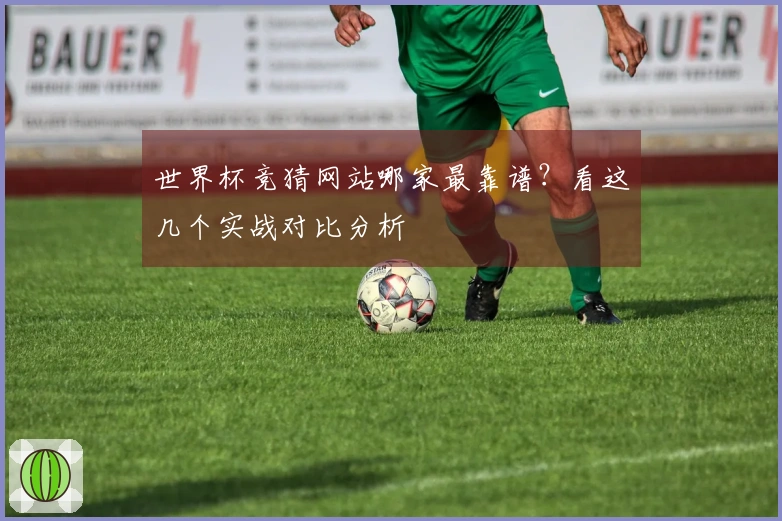 世界杯竞猜网站哪家最靠谱？看这几个实战对比分析