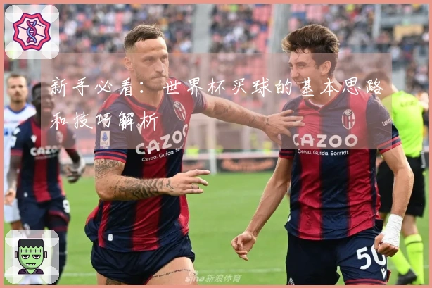 新手必看:世界杯买球的基本思路和技巧解析