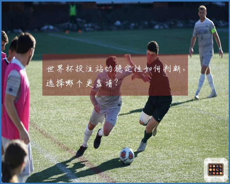 世界杯投注站的稳定性如何判断，选择哪个更靠谱？