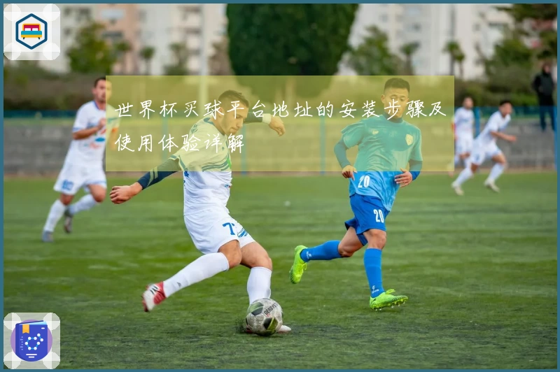 世界杯买球平台地址的安装步骤及使用体验详解
