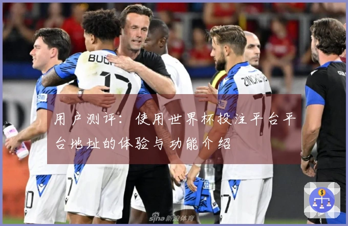 用户测评：使用世界杯投注平台平台地址的体验与功能介绍