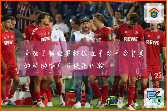 全面了解世界杯投注平台平台首页的活动福利与使用体验