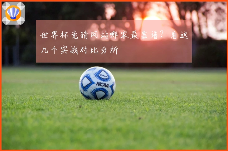 世界杯竞猜网站哪家最靠谱？看这几个实战对比分析