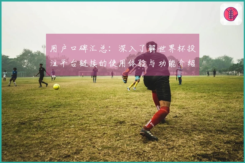 用户口碑汇总:深入了解世界杯投注平台链接的使用体验与功能介绍