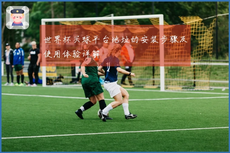 世界杯买球平台地址的安装步骤及使用体验详解